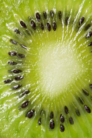 Abstract photo of a kiwiの写真素材