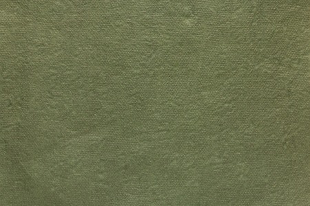 Green recycled paper texture background, green bacdropの写真素材