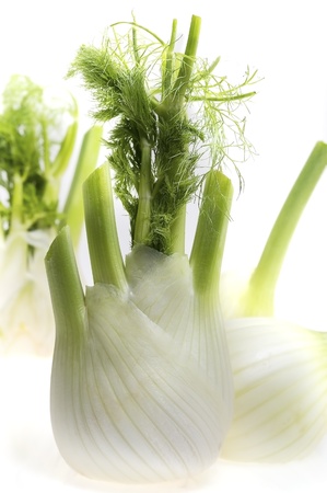 ripe fennel on white backgroundの写真素材