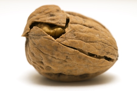 walnut shell crackedの写真素材