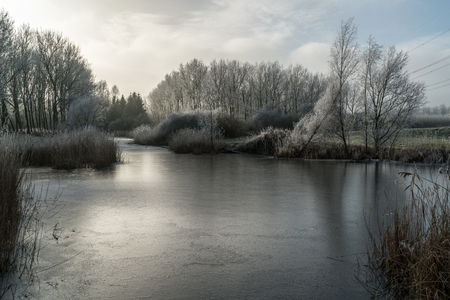 Winter view on Dutch landscape in the provence Flevolandの写真素材