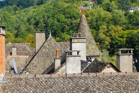 View on authentic French rooftops