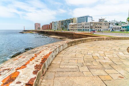 Peolpe walking on the Rambla Gran Bretana (Great Britain street), Montevideo, Uruguay, January 26th 2019のeditorial素材