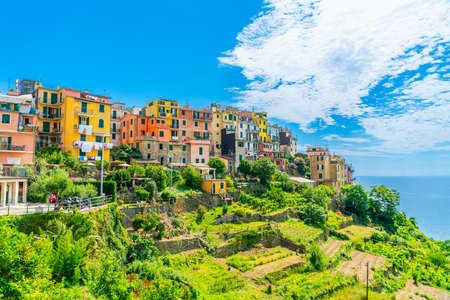Cinque Terre, Italy - July 1st 2020 - Overview of the very quiet village Cornigli due to Corona, one of the towns known as Cinque Terre at the Medeteranian coast of Italy on a sunny Corona day in summerのeditorial素材