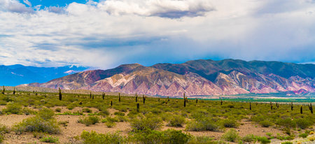 Colorfull mountains at the Parque Nacional Los Cardones (National Park) in the Salta Provence , Argentinaの写真素材