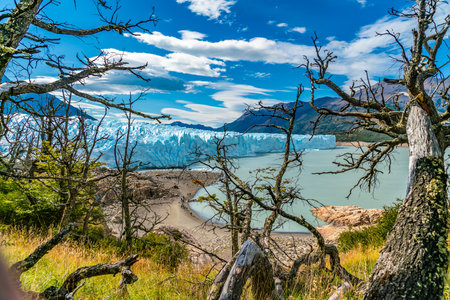 the Perito Moreno Glacier in the national Glacier park near Calafate in Argentina seen from the forrestの写真素材
