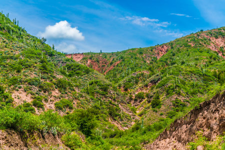 Colorfull mountains at the Parque Nacional Los Cardones (National Park) in the Salta Provence , Argentinaの写真素材