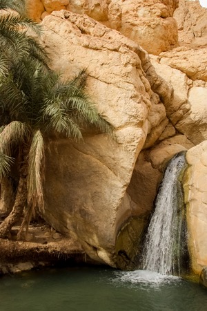 Waterfall in mountain oasis Chebika, Tunisiaの写真素材