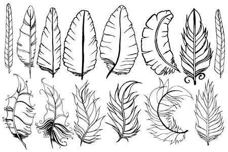Different 14 feathers set. Sketch style. Vector illustration isolated on white background. Series of doodle feather.のイラスト素材