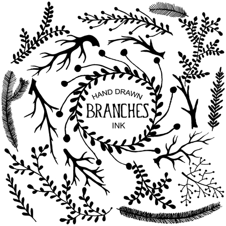 Set of hand drawn branches and leaves. Ink illustration.のイラスト素材