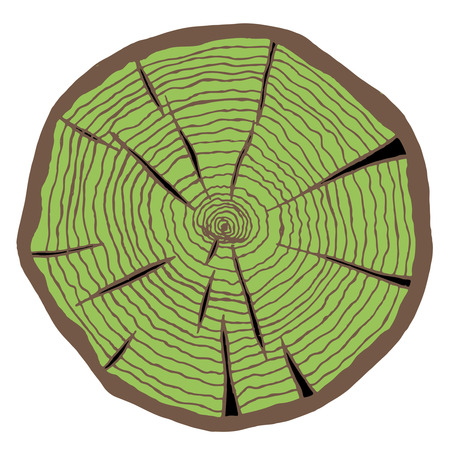 doodle cross section of tree trunk, vectorのイラスト素材