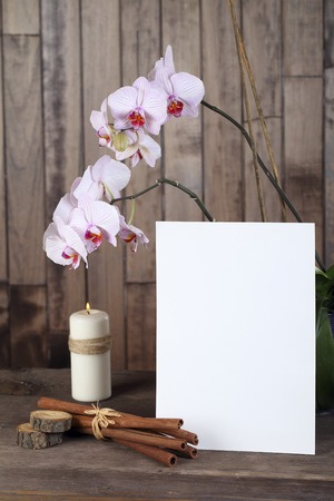 Orchid , candle , cinnamon, paper and stumps on wood backgroundの写真素材