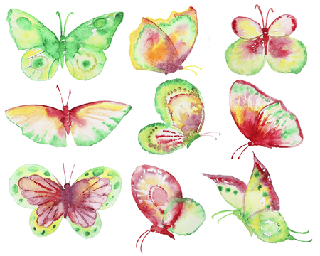Watercolor hand drawn butterflies collection. Hand painted watercolor butterfly in Hires. Multicolored in different style. Perfect for wedding invitations, greeting cards, quotes, blogs, posters and DIYの写真素材