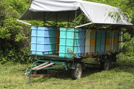 Colorful mobile transport car for beehive whith roofの写真素材