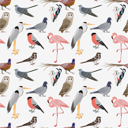 Realistic birds sealess patern. Barn Owl and Heron, Bullfinch and Pheasant, Woodpecker and Flamingo. illustrationのイラスト素材