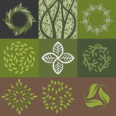 Set of green leaves design. Perfekt for cosmetic produkt, medicine centers, yoga classes and organic food.のイラスト素材
