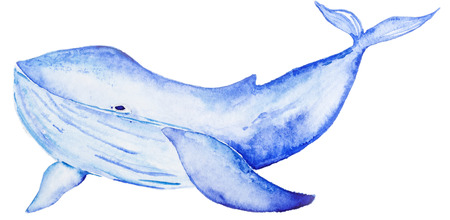 Watercolor blue whaleの写真素材