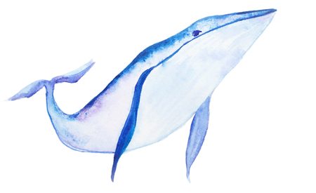 Watercolor blue whaleの写真素材