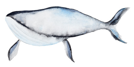 Watercolor blue whaleの写真素材