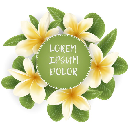 template with Plumeria flower wreathのイラスト素材