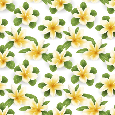 Seamless pattern of Blossom Plumeria flowers. Vector illustration. Tropical flower plumeria seamless background.のイラスト素材