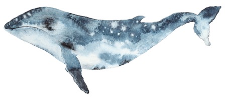 Watercolor blue whaleの写真素材