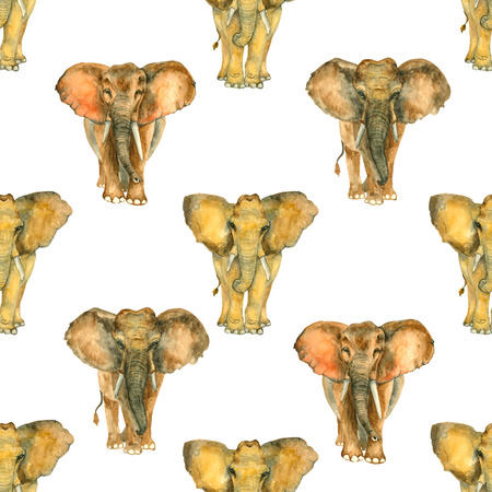 Watercolor seamless pattern from Elephantsの写真素材