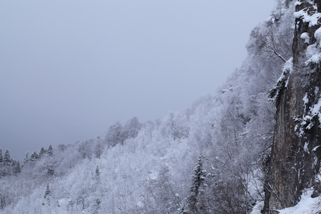 Winter mountain landscapeの写真素材
