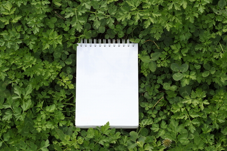 Nature Workplace mockupの写真素材