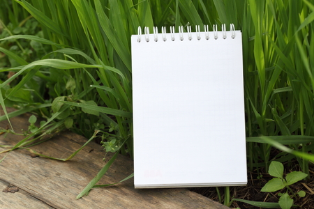 Nature Workplace mockupの写真素材
