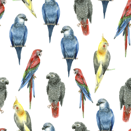 Tropical watercolor patternの写真素材