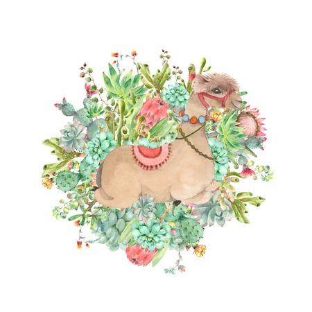 Desert Alpaca banner watercolorの写真素材
