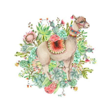Desert Alpaca banner watercolorの写真素材