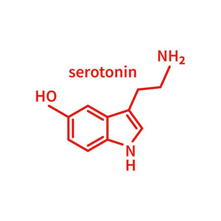 Serotonin milecule in lineのイラスト素材