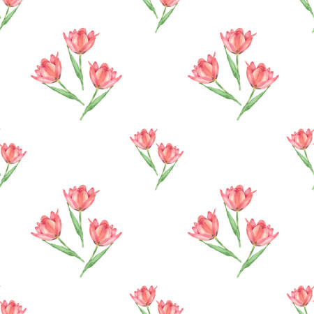 Watercolor pink Tulip patternの写真素材