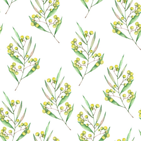 Watercolor mimosa patternの写真素材