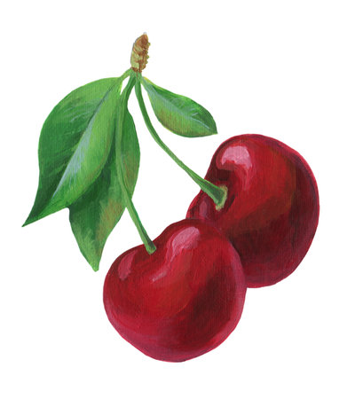 Fresh sweet cherryの写真素材