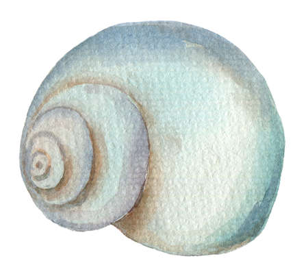 Watercolor shell elementの写真素材