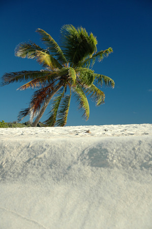 sandy spitの写真素材