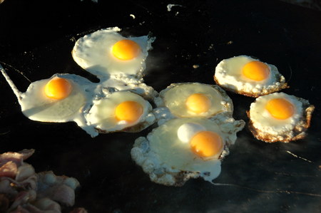 outback in Rudall River, Western Australiaの写真素材