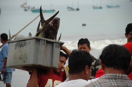 fisherman pacific coast, Ecuadorのeditorial素材