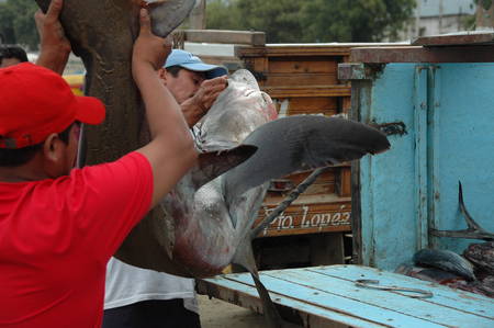 fisherman pacific coast, Ecuadorのeditorial素材
