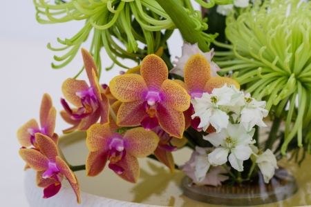 Flower Arrangementの写真素材