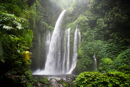 Air Terjun Tiu Kelep waterfall, Senaru, Lombok, Indonesia, Southeast Asia, Asiaの写真素材