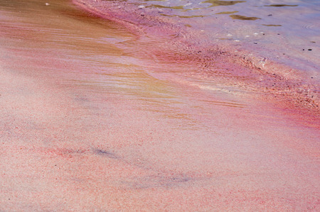 Sunny day on Pink Beach in Komodo National Park の写真素材