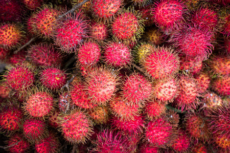 Rambutan fruits for sale at a market stall, Indonesia, Asia 
(Nephelium lappaceum)の写真素材