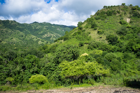 Coastal landscape of island Komodo National Park,  Indonesia, Southeast Asiaの写真素材