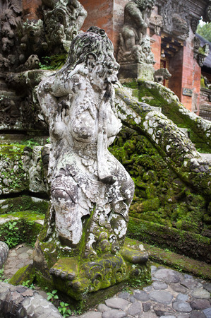 Monkey temple in Bali Monkey forest, Indonesiaの写真素材