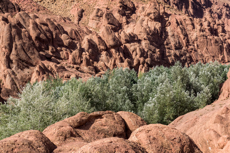 dades gorges valley, Morocco, Africaの写真素材