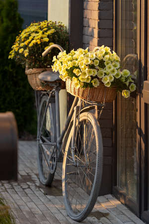 bicycle, decorated with flowers, in the sunset sunbeamsの写真素材